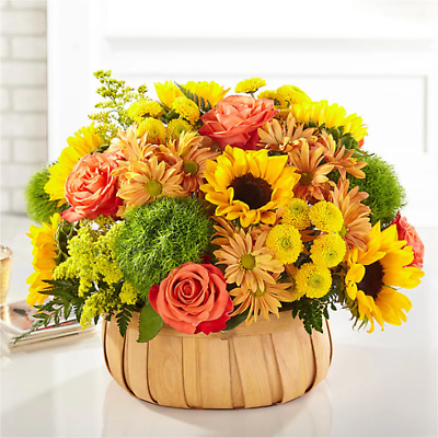 Bountiful Basket