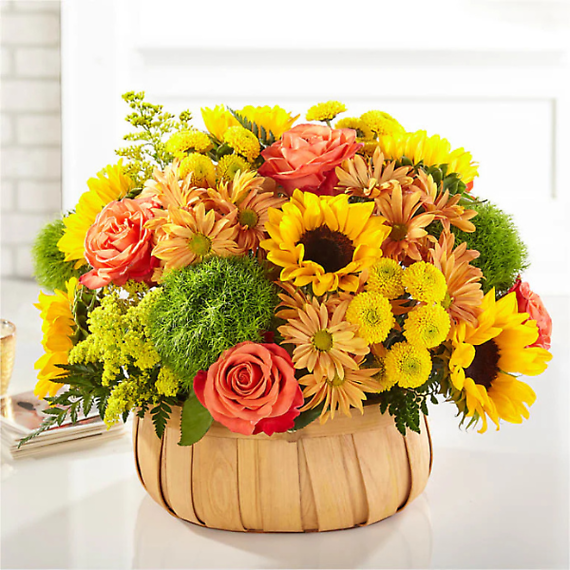 Bountiful Basket