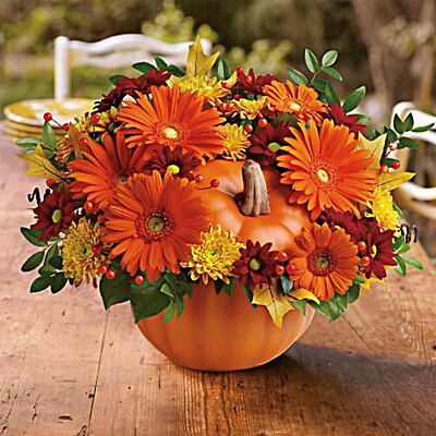 Orange Pumpkin Harvest
